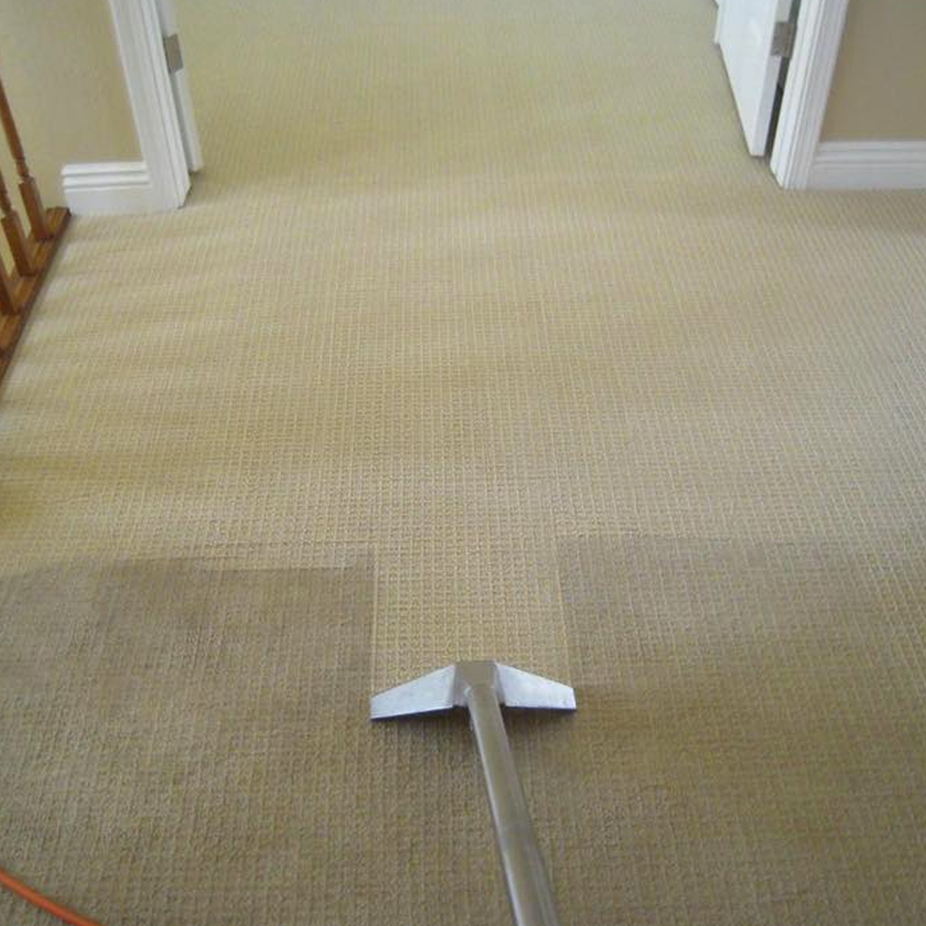 Cleaning carpet with skill